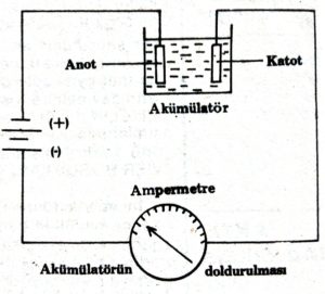 Belge 11 3