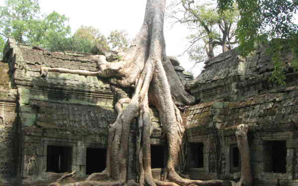 Angkor Tapınakları
