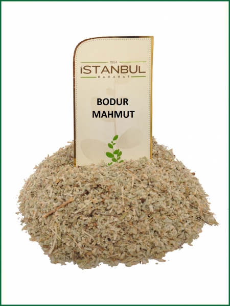 Bodur Mahmut