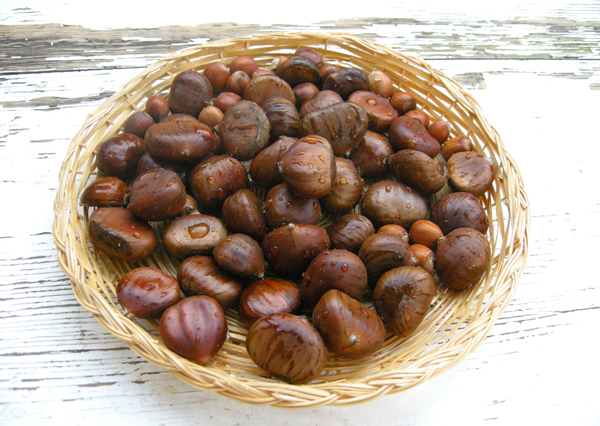 Kestanenin Faydaları