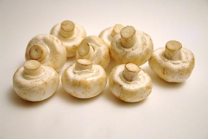 Mantarın Faydaları