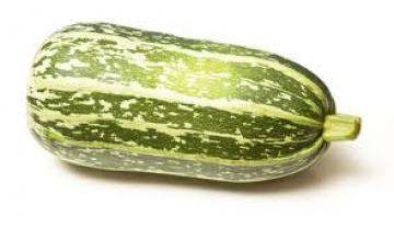 Sakız Kabağının Faydaları