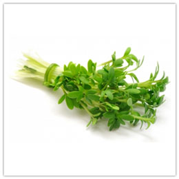 Semizotunun Faydaları