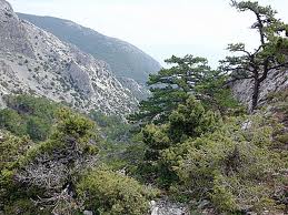 spil dağı efsanesi spil dağı konaklama spil dağı milli parkı spil dağı dağ evleri spil dağı otelleri spil dağı evleri spil dağı nerede spil dağı hakkında bilgi