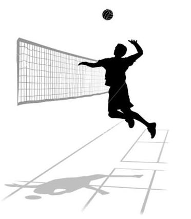 Voleybol