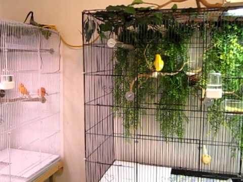 Yemişlik Ve Yeşillik Askılıkları