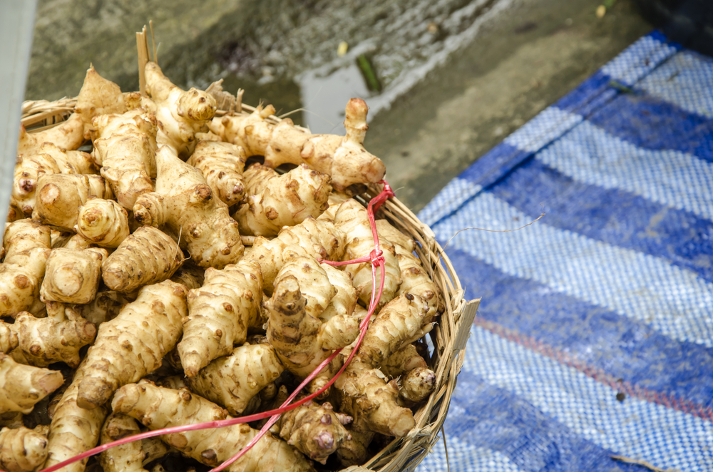Yer Elmasının Faydaları